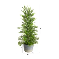 Nearly Natural Californian In Planter 2 1/2 Foot Cedar Christmas Tree