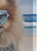 Madison Park 16 X 16 Beach Dogs Canvas Art