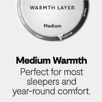 Martha Stewart Cloud Support All Seasons Warmth Down Alternative Comforter