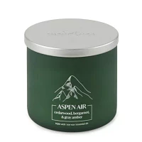 Distant Lands 14oz 3 Wick Aspen Air Scented Jar Candle