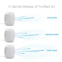 Pure Enrichment Value Desktop Air Purifier