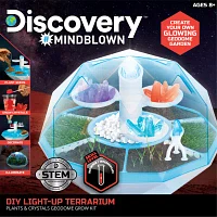 Dream Studio Discovery Toy