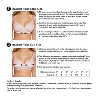 Dominique Maxine Seamless T-Shirt Underwire Push Up Bra 4500