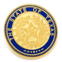 Lapel Pin