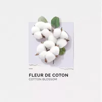 Solinotes Cotton Blossom Eau De Parfum