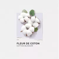 Solinotes Cotton Eau De Parfum Rollerball, 0.33 Oz
