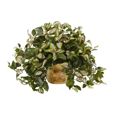 Nearly Natural Hoya In Wooden Pot Artificial Plant