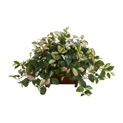 Nearly Natural Hoya Artificial Plant In Decorative Planter Artificial Plant