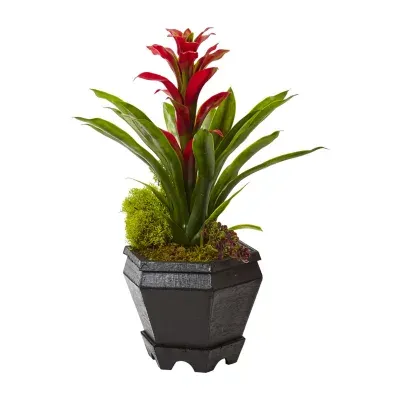 Nearly Natural Red Bromeliad In Black Hexagon Planter Artificial Plant