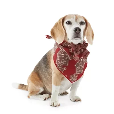 Paw & Tail Gingerbread Dog Bandanna Bow Set