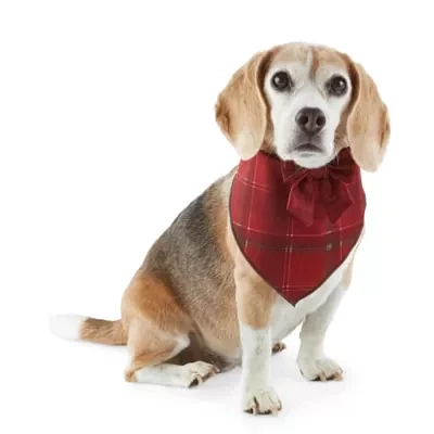 Paw & Tail Red Plaid Dog Bandanna Bowtie Set