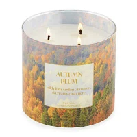 Distant Lands 14 Oz 3 Wick Autumn Plum Scented Jar Candle