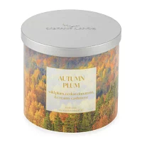 Distant Lands 14 Oz 3 Wick Autumn Plum Scented Jar Candle