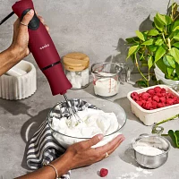 Cooks Immersion Blender With Whisk