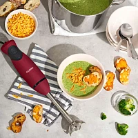 Cooks Immersion Blender With Whisk