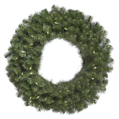 Vickerman 24" Douglas Fir Christmas Wreath with 50Warm White LED Lights"