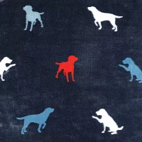Eddie Bauer Buddy The Dog Plush Reversible Lightweight Throw