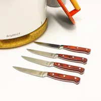 BergHOFF Pakka Wood 4-pc. Steak Knife Set