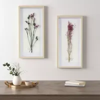 Madison Park Avant Dried Flower Shadow Box 2-pc. Framed Wall Art Sets