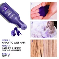 Redken Blondage Violet Shampoo 10 oz.