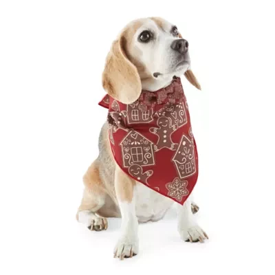 Paw & Tail Gingerbread Dog Bandana Bowtie Set