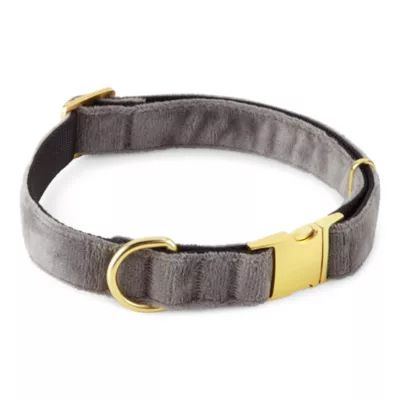 Paw & Tail Velvet Dog Collar