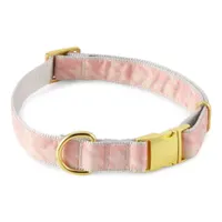 Paw & Tail Woven Printed Dog Collar