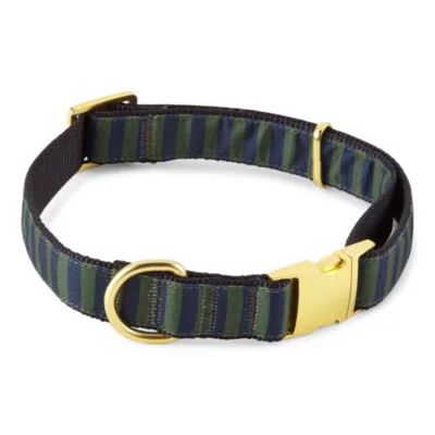 Paw & Tail Striped Dog Pet Collars