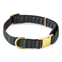 Paw & Tail Striped Dog Collar