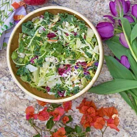 Totally Bamboo 10" Classic Wood Salad Bowl