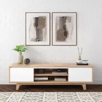 Fort Worth Modern TV Stand