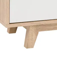 Fort Worth Modern TV Stand