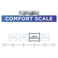 Allerease Washable Jumbo 2 Pack Pillows