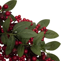 Northlight Lush Berry And Leaf Unlit Indoor Christmas Wreath