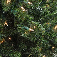 Northlight Pre Lit Canadian Pine 2 Foot Pre-Lit Pine Christmas Tree