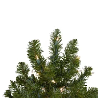 Northlight Pre Lit Canadian Pine 2 Foot Pre-Lit Pine Christmas Tree