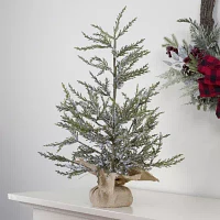 Northlight Potted Medium Iced Unlit 2 Foot Cedar Christmas Tree