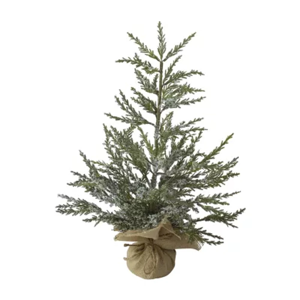 Northlight Potted Medium Iced Unlit 2 Foot Cedar Christmas Tree