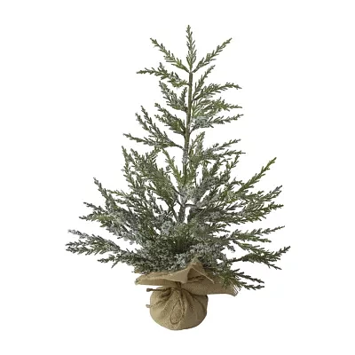 Northlight Potted Medium Iced Unlit 2 Foot Cedar Christmas Tree