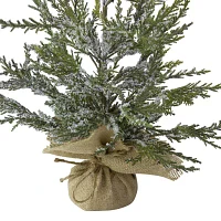 Northlight Potted Medium Iced Unlit 2 Foot Cedar Christmas Tree