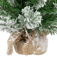 Northlight Pine Full Unlit 2 Foot Flocked Christmas Tree