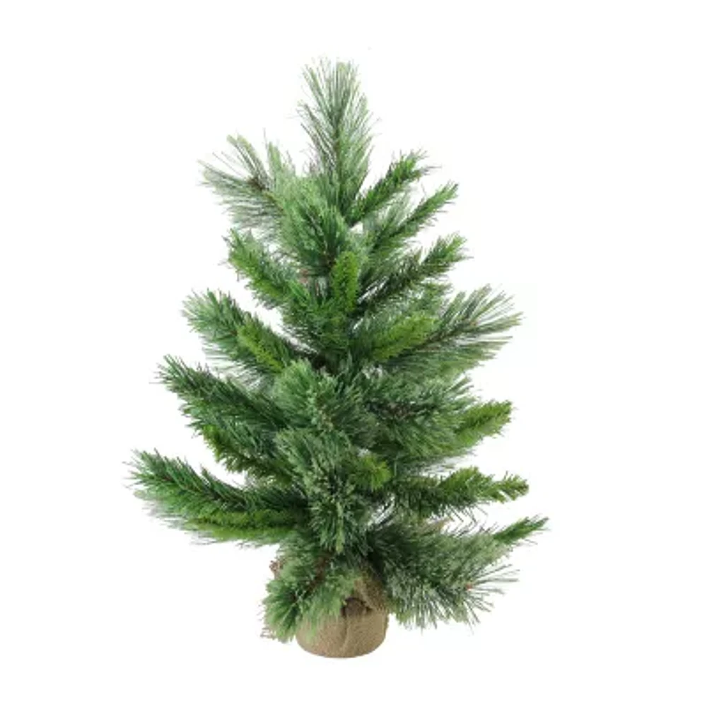 Northlight Potted Mixed Cashmere Pine Unlit 2 Foot Pine Christmas Tree