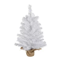 Northlight Medium Balsam Pine Unlit 2 Foot Pine Christmas Tree