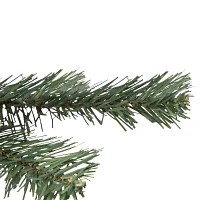 Northlight Medium Blackwater  Unlit 2 Foot Fir Christmas Tree