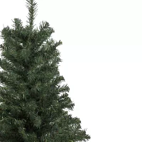 Northlight Medium Blackwater  Unlit 2 Foot Fir Christmas Tree