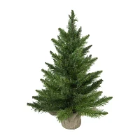 Northlight Mini Balsam Pine Unlit 2 Foot Pine Christmas Tree