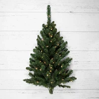 Northlight Buffalo Fir With Clear Lights 3 Foot Pre-Lit Christmas Tree