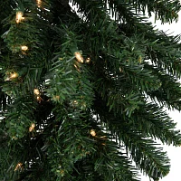 Northlight Buffalo Fir With Clear Lights 3 Foot Pre-Lit Christmas Tree