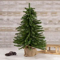 Northlight Potted Downswept Pine Unlit 2 Foot Pine Christmas Tree