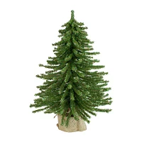 Northlight Potted Downswept Pine Unlit 2 Foot Pine Christmas Tree